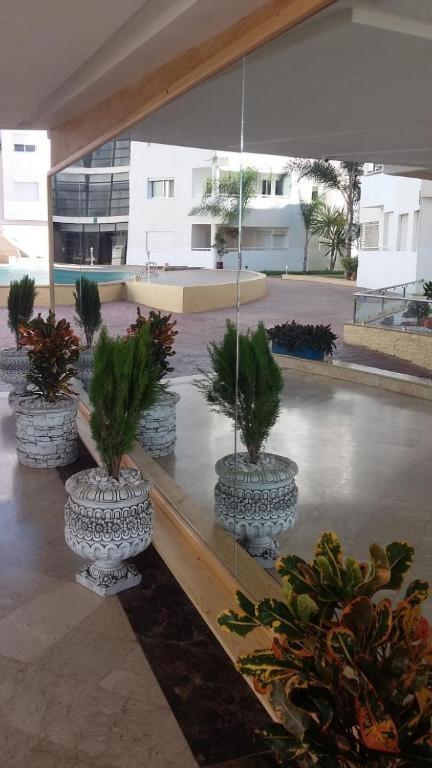 Apartment T10
